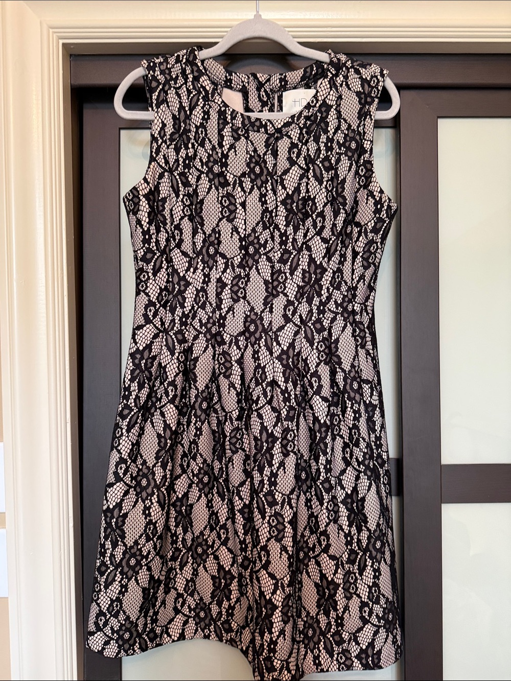 Sleeveless Black Lace Overlay A-Line Dress - Anthropologie HD in Paris